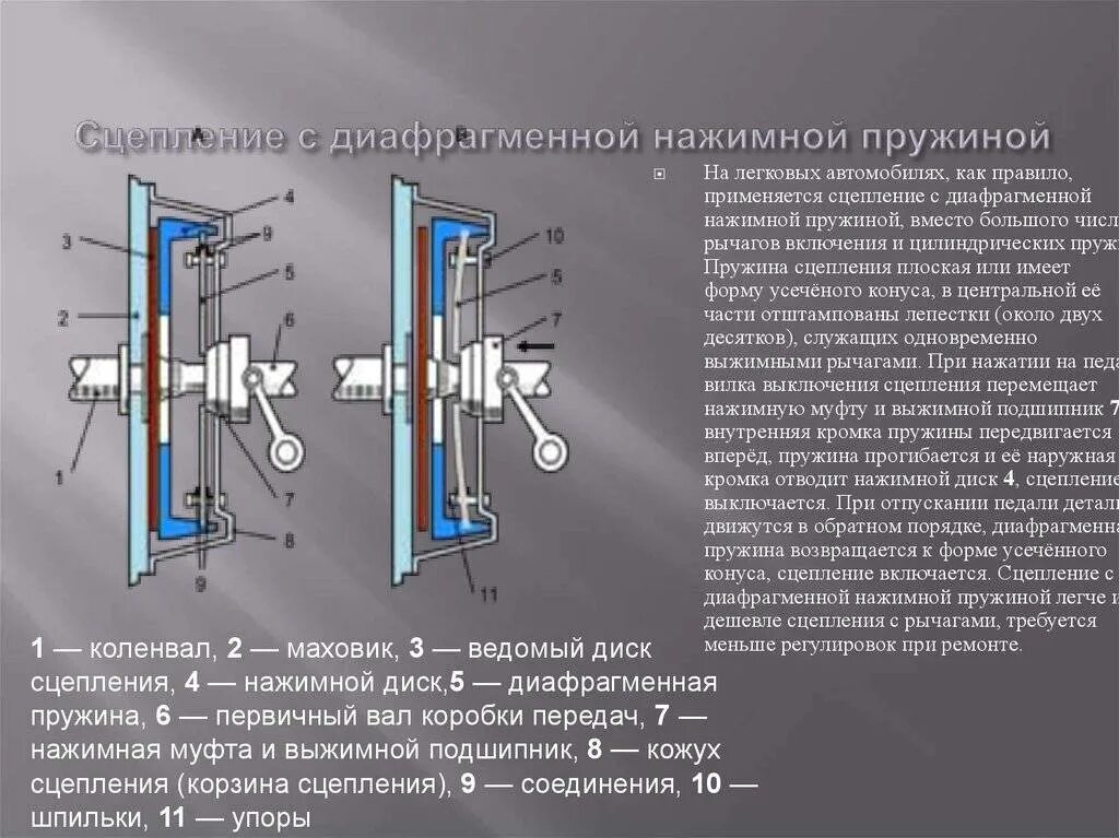 Однодисковое сцепление с мембранной пружиной ВАЗ. Схема однодискового сцепления с диафрагменной пружиной. Перечислите детали ведомого диска сцепления. Сцепление с диафрагменной нажимной пружиной. Кто является ответственным за сцепление вагонов