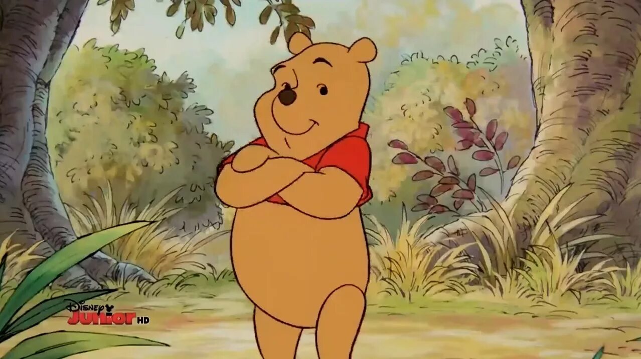 Winnie the pooh adventures. Приключения Винни пуха Дисней. Винни пух Дисней 1991. Винни пух американский Дисней.