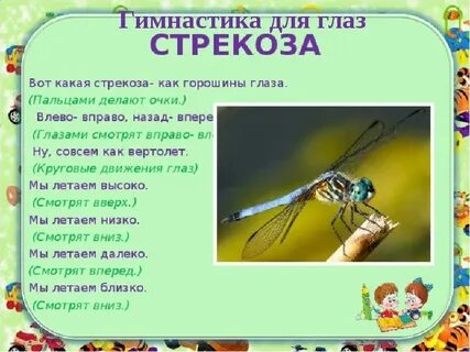 Вот какая стрекоза как горошины глаза