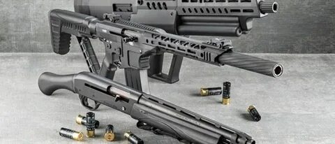 Gun 2022