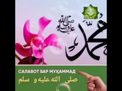 Салавот бар