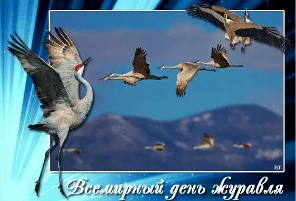 Белый журавль. Открытки всемирный день журавля. День журавля. Открытка журавли. Всемирный день журавля 12 сентября.
