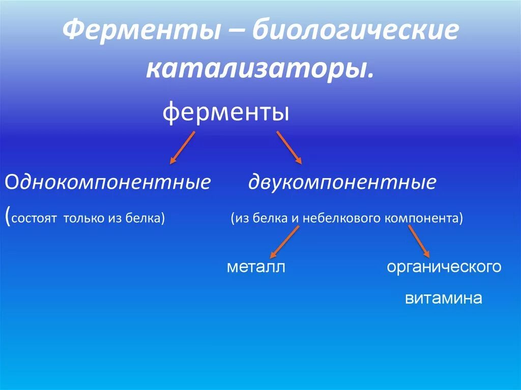 Катализаторы живых клеток. Ферменты биологические катализаторы. Ферменты это в биологии. Ферментативный катализатор. Биологические катализаторы схема.