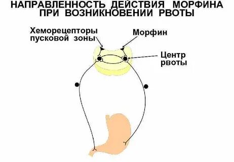 Ориентированное действие