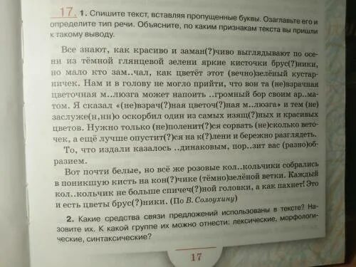 Рассказ списать текст. Списать текст. Спиши текст вставь. Спишите текст вставляя пропущенные буквы определите Тип речи. Списывать рассказы.