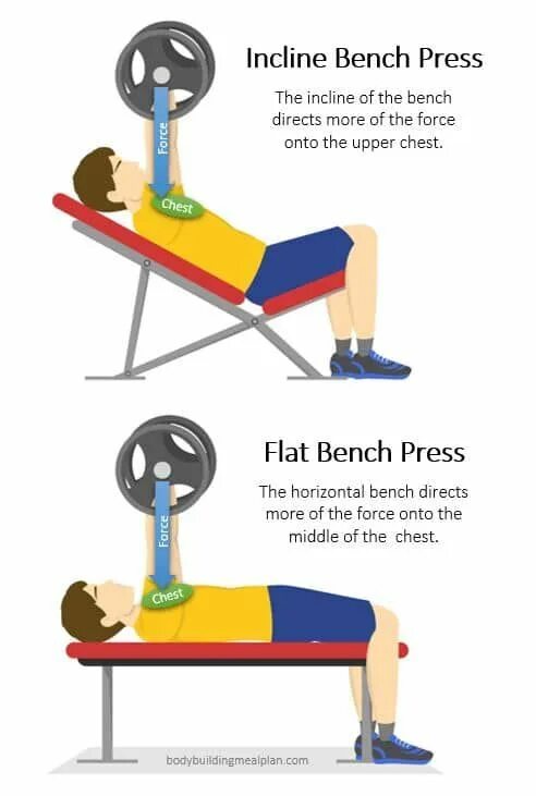 Чем заменить жим лежа. Incline Barbell Bench Press. Flat Barbell Bench Press. Flat Bench Dumbbell Press. Incline Dumbbell Bench Press.