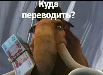 Куда перевод