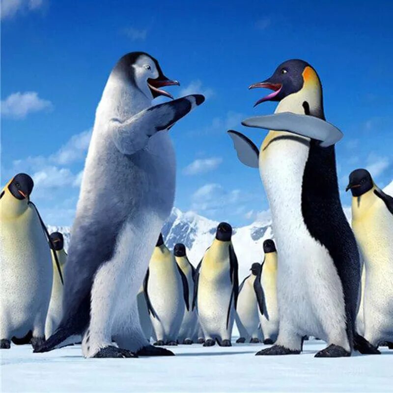 пингвин 3д. пингвин маккуори. Aptenodytes patagonicus patagonicus. пингвины три д. ноги пингвина.