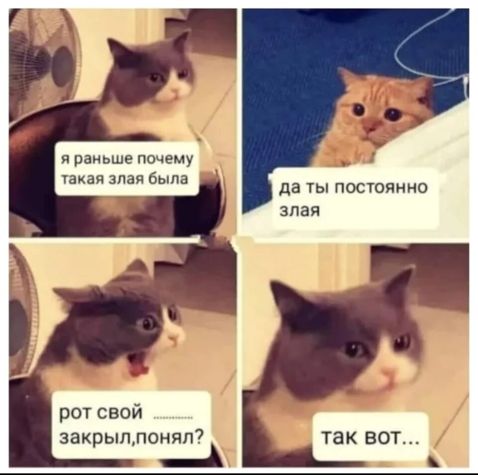Почему он такой красивый