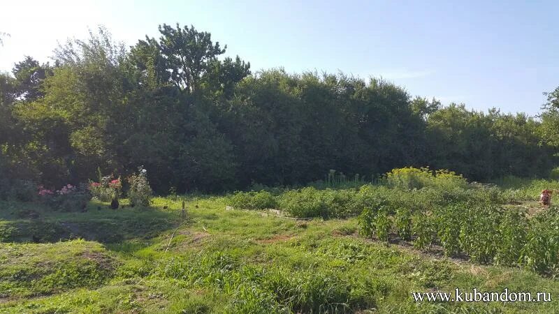 ст федоровская абинского района краснодарского. абинский район природа весной. станица федоровская абинского района краснодарского края. погода в абинском районе ст федоровской. погода в абинском районе ст федоровской.