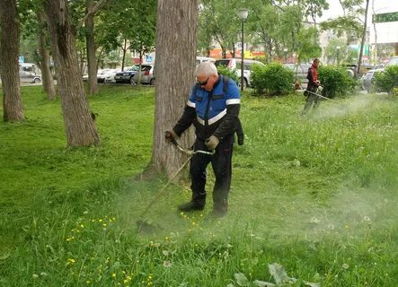 Город косим