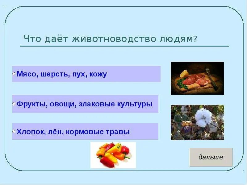 Что дает животноводство людям. Животноводство 3 класс презент. Животноводство 3 класс презентация. Доклад по окружающему миру 3 класс на тему животноводство. Тест на тему животноводство 3 класс окружающий