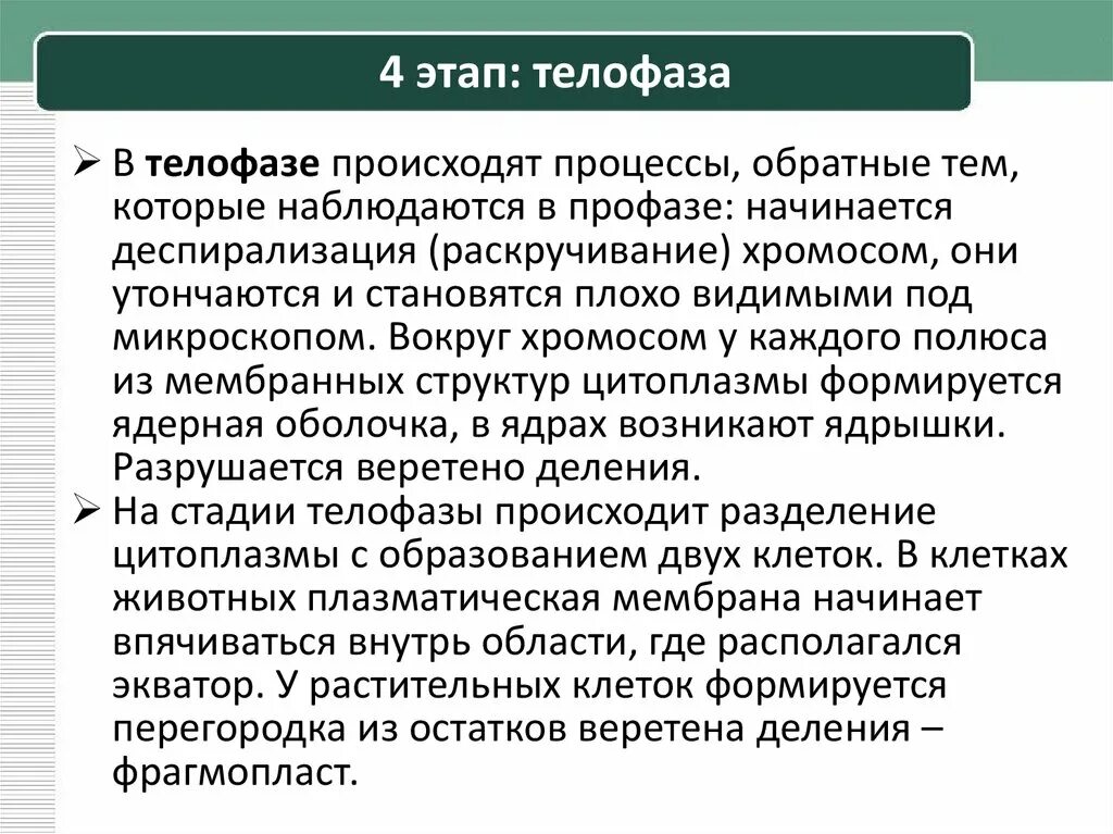 Деспирализация хромосом происходит в интерфазе. Деспирализация хромосом. деспирализация хромосом происходит в. деспирализация хромосом фаза. деспирализация хромомосом.