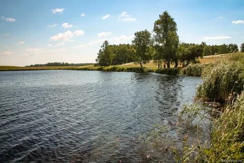 Река пирогово