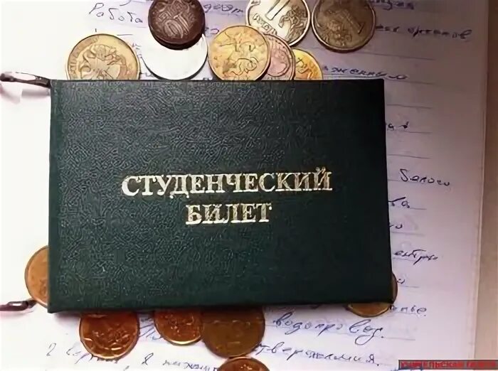 Студенческий омбудсмен. Летом платят стипендию