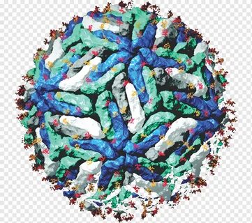 Tick borne encephalitis virus