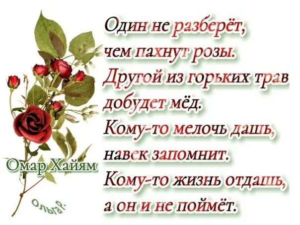 Один не разберет чем пахнут розы другой. Один не разберет чем пахнут розы другой из горьких трав добудет мед. Один не разберет чем пахнут розы. Один не разберет чем. Хайям один не разберет чем пахнут розы.