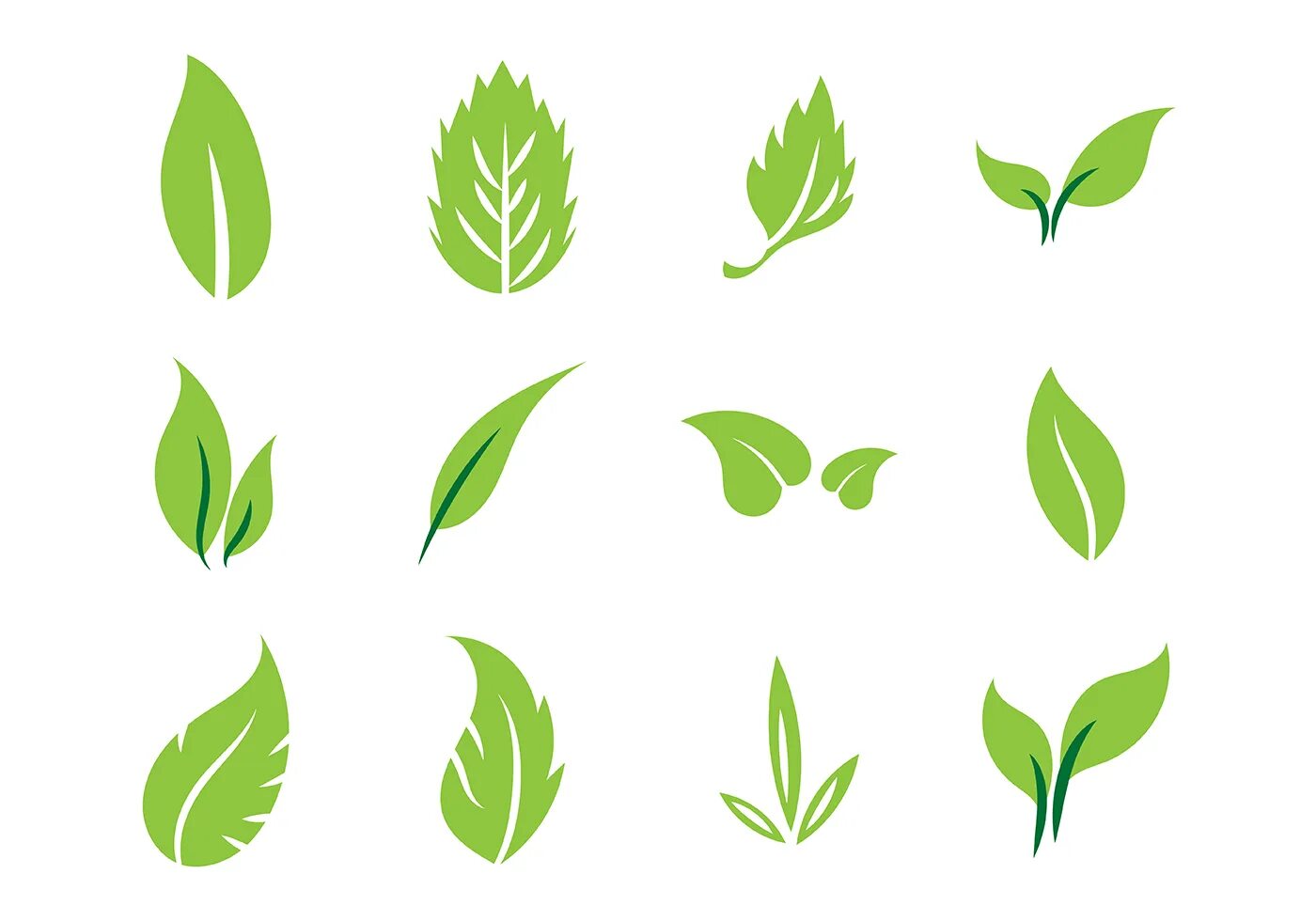 Leaves icon. Векторные листья. Векторные листочки. Листья вектор. Зеленый лист вектор.