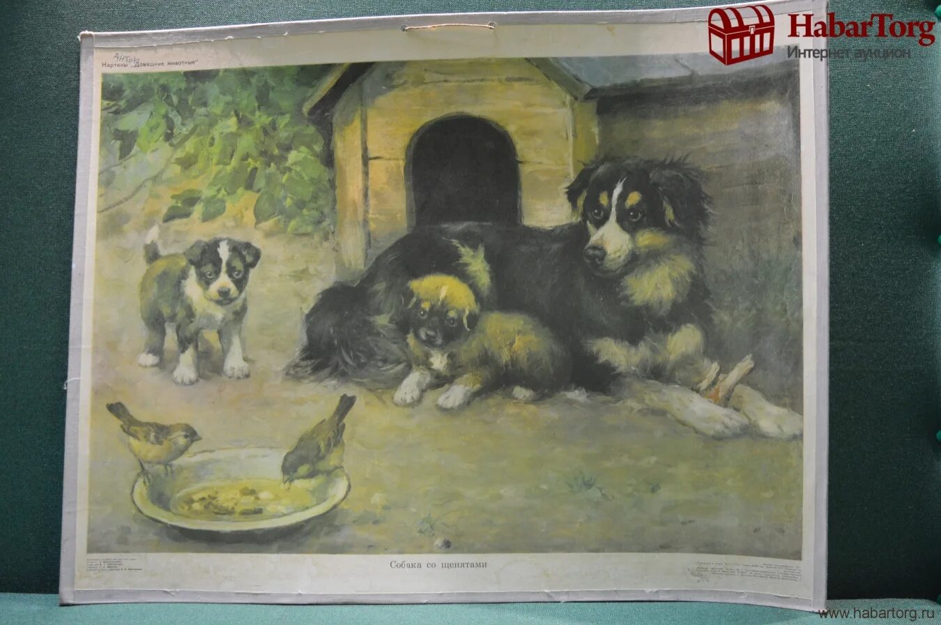 Купили щенка гербова. Картина собака со щенятами. Собака со щенятами картина для детского сада. Собака со щенятами Веретенникова. Рассматривание картины собака со щенятами.