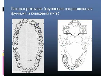 Клыковый