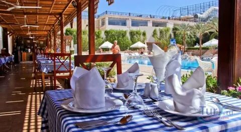 Falcon naama star