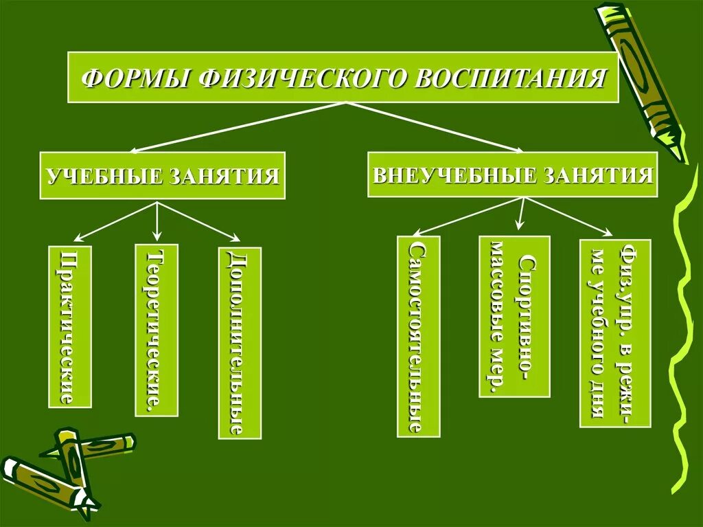 Перечислите организационные формы физического воспитания.. Формы физического воспитания студентов. Формы организации физвоспитания. Основные формы физического воспитания в школе.