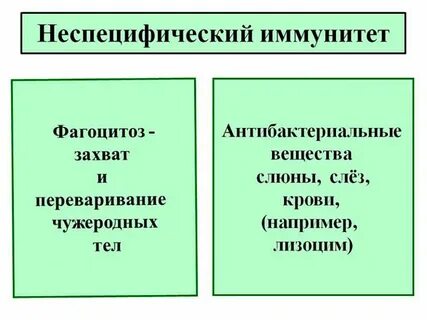Неспецифическая иммунная реакция