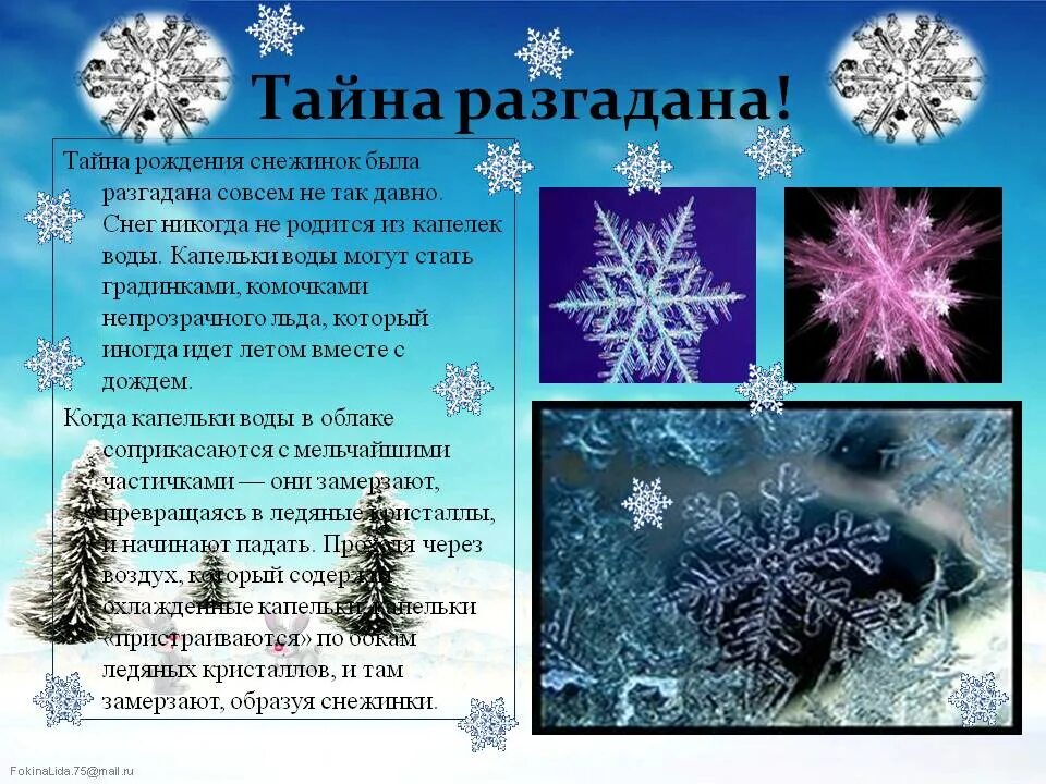 Снежинка рассказ. Интересные факты о снежинках. интересное о снежинках для детей. снежинки для презентации. интересные факты о снеге и снежинках для детей.