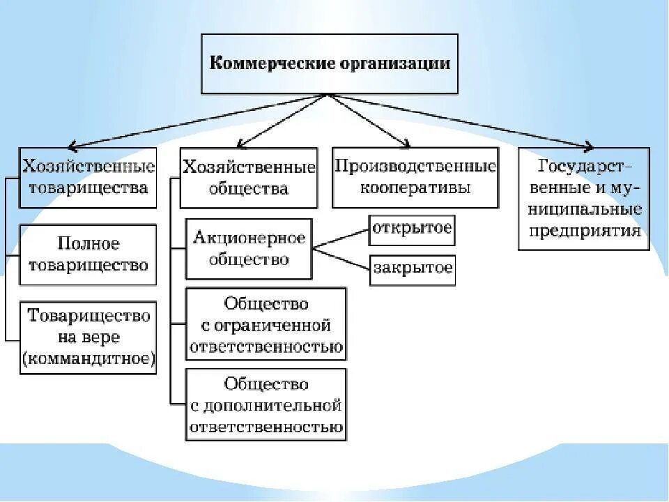 Мэс юридические лица. Коммерческие организации схема. Виды коммерческих организаций схема. Схема коммерческих юридических лиц. Типы коммерческих предприятий.