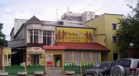 Чайка екатеринбург