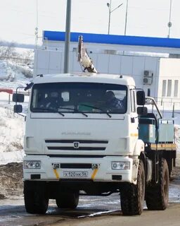Камаз улан