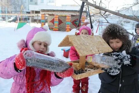 Птицы зимой дети кормят птиц зимой