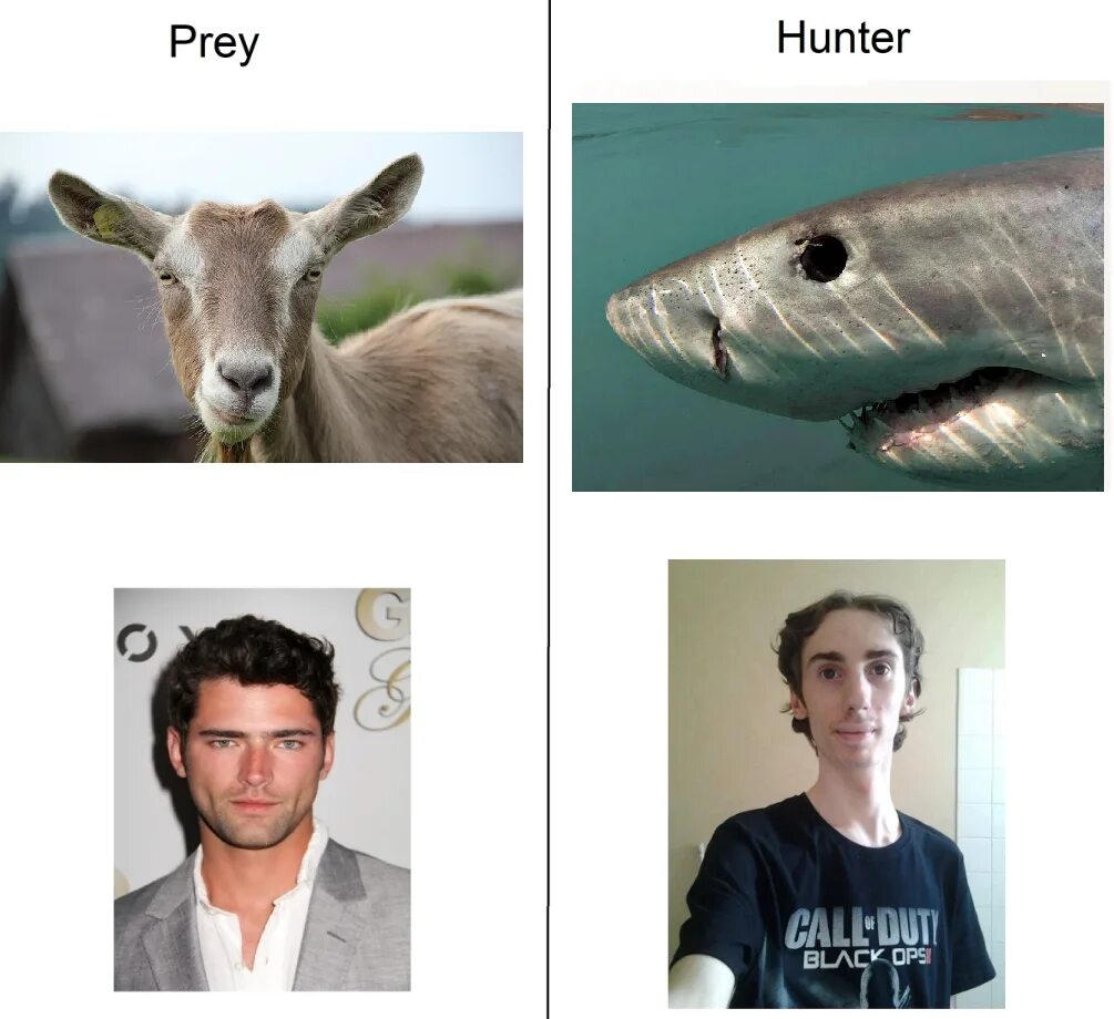 Get hunt. Hunter eyes. hunter eyes prey eyes. hunter eyes vs prey. canthal tilt.