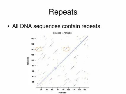 Sequence contains