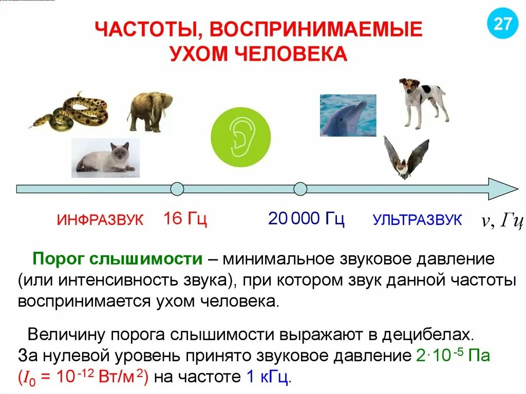 Диапазон частот воспринимаемый человеческим ухом. Диапазон частот человек ухо. Частотный диапазон воспринимаемый ухом человека. Диапазон звуков воспринимаемых ухом человека. Слышимый звук имеет