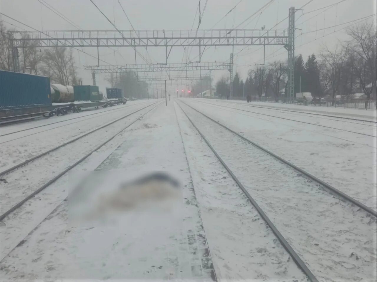 Поезд правды новосибирск. В Новосибирске поезд сбил. Поезд сбил человека насмерть.