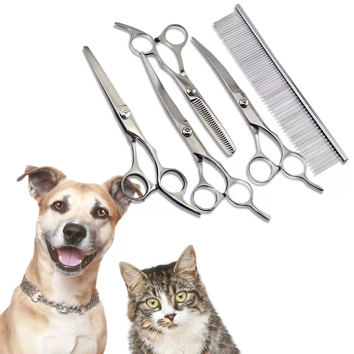 Pet setting. Инструменты для стрижки собак. Инструменты грумера. Груминг собаки инструменты. Инструменты для груминга кошек.