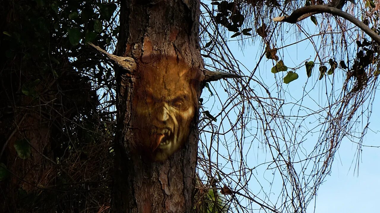 Hell tree
