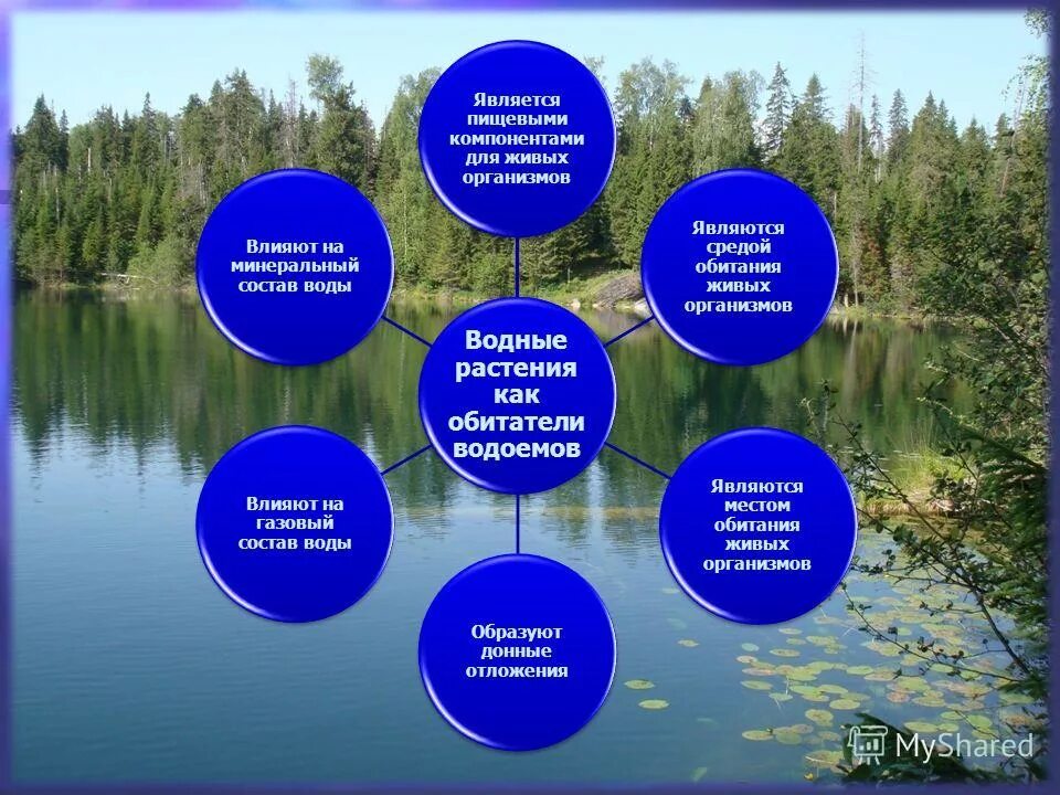 Что помогает водоемам. Использование озер. Роль водоемов в жизни человека. Роль водоемов в жизни человека. Презентация на тему водоемы.