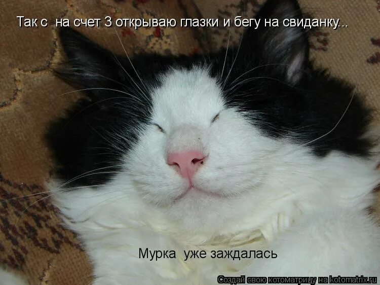 Мигай медленно. Прекрати мне сниться прекрати. Мигай медленно. Я не сплю я медленно моргаю. Мигай медленно.