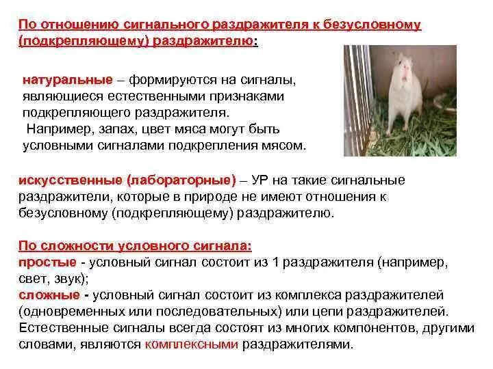 Безусловное подкрепление это