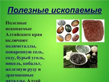Полезные ископаемые добывают в алтайском крае