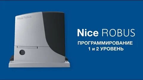 Nice запрограммировать