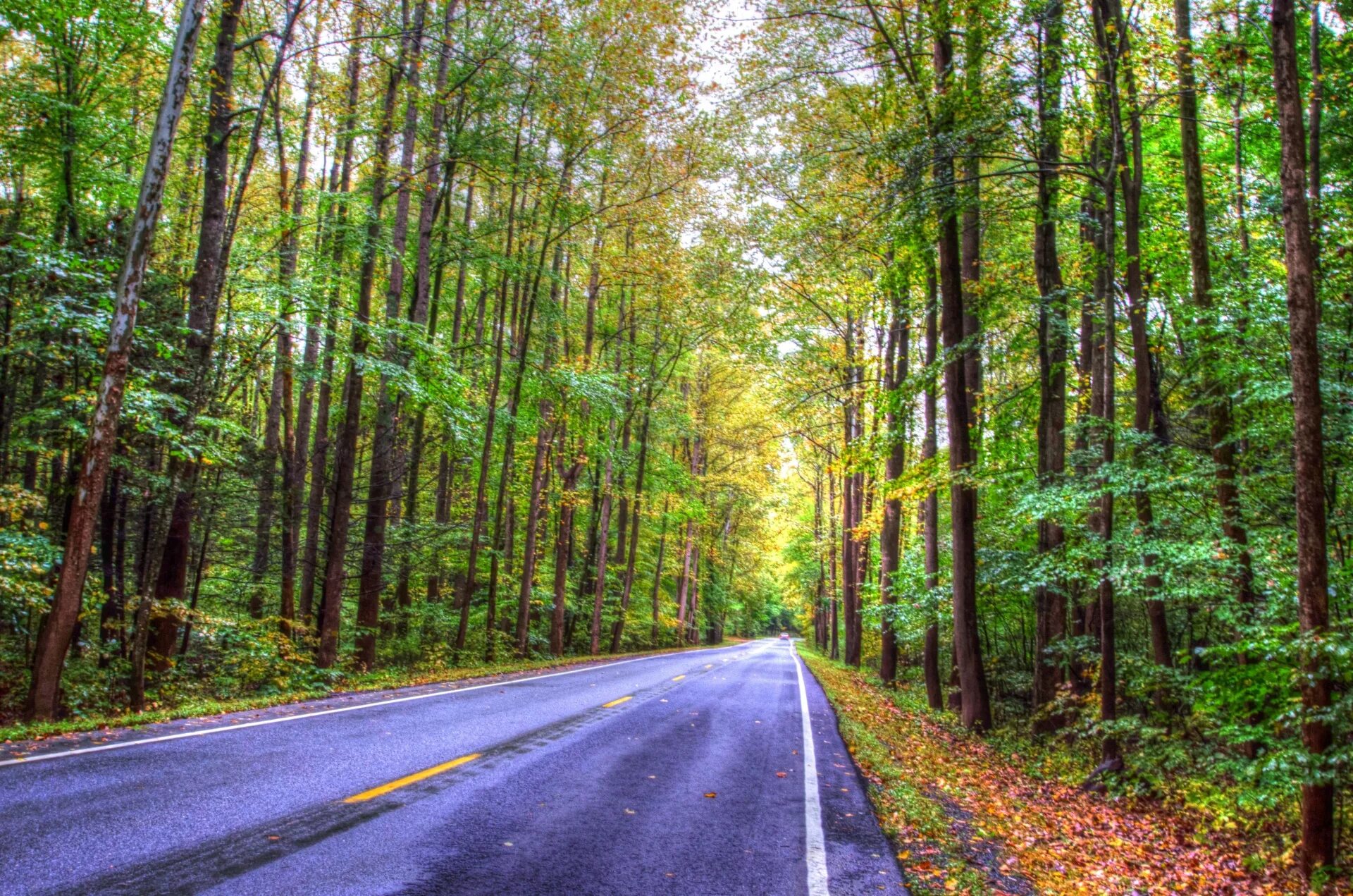 Drive path
