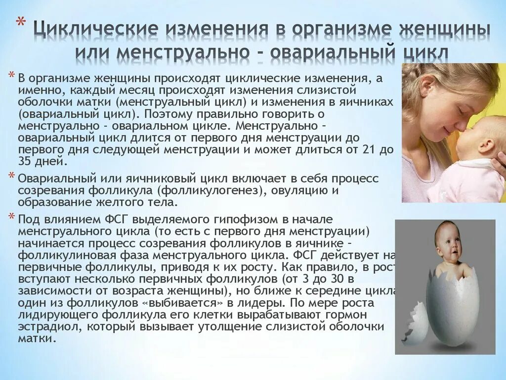 Изменения в организме 7. Циклические изменения в организме женщины. Циклические процессы в матке. Циклические изменения в матке. Циклические изменения при менструальном цикле.