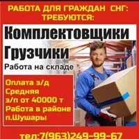 Санкт петербурге граждан снг