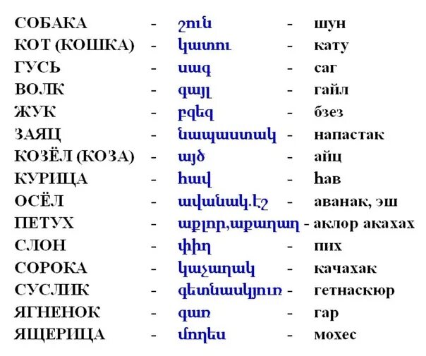 Ая перевод на русский. Армянские слова. Армянский язык слова. Животныемна армянском. Слова на армянском языке русскими.