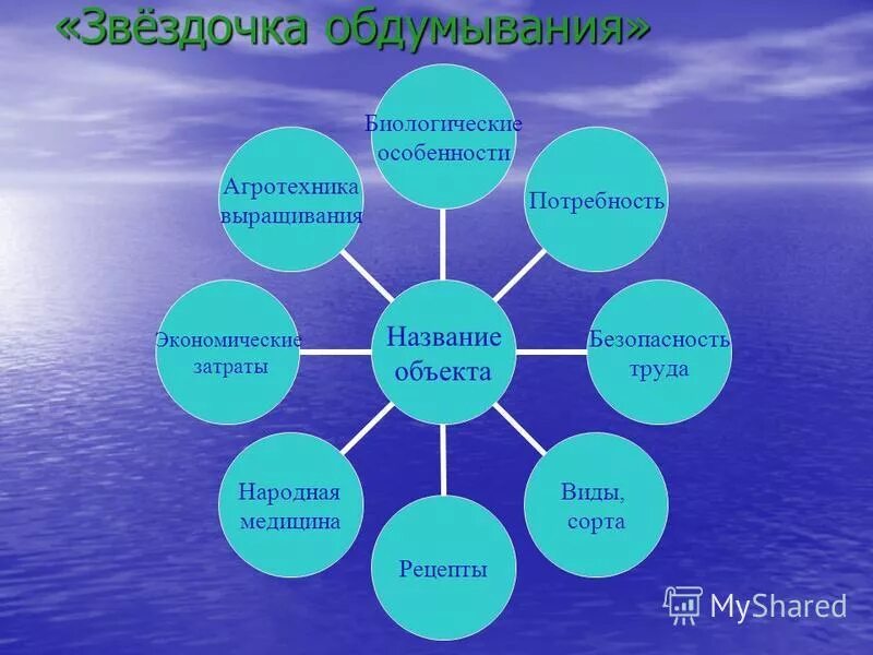 агротехника возделывания овощных культур. агротехнология белокочанной капусты. приемы возделывания культурных растений. агротехническое выращивание растений. биологические особенности корнеплодов.