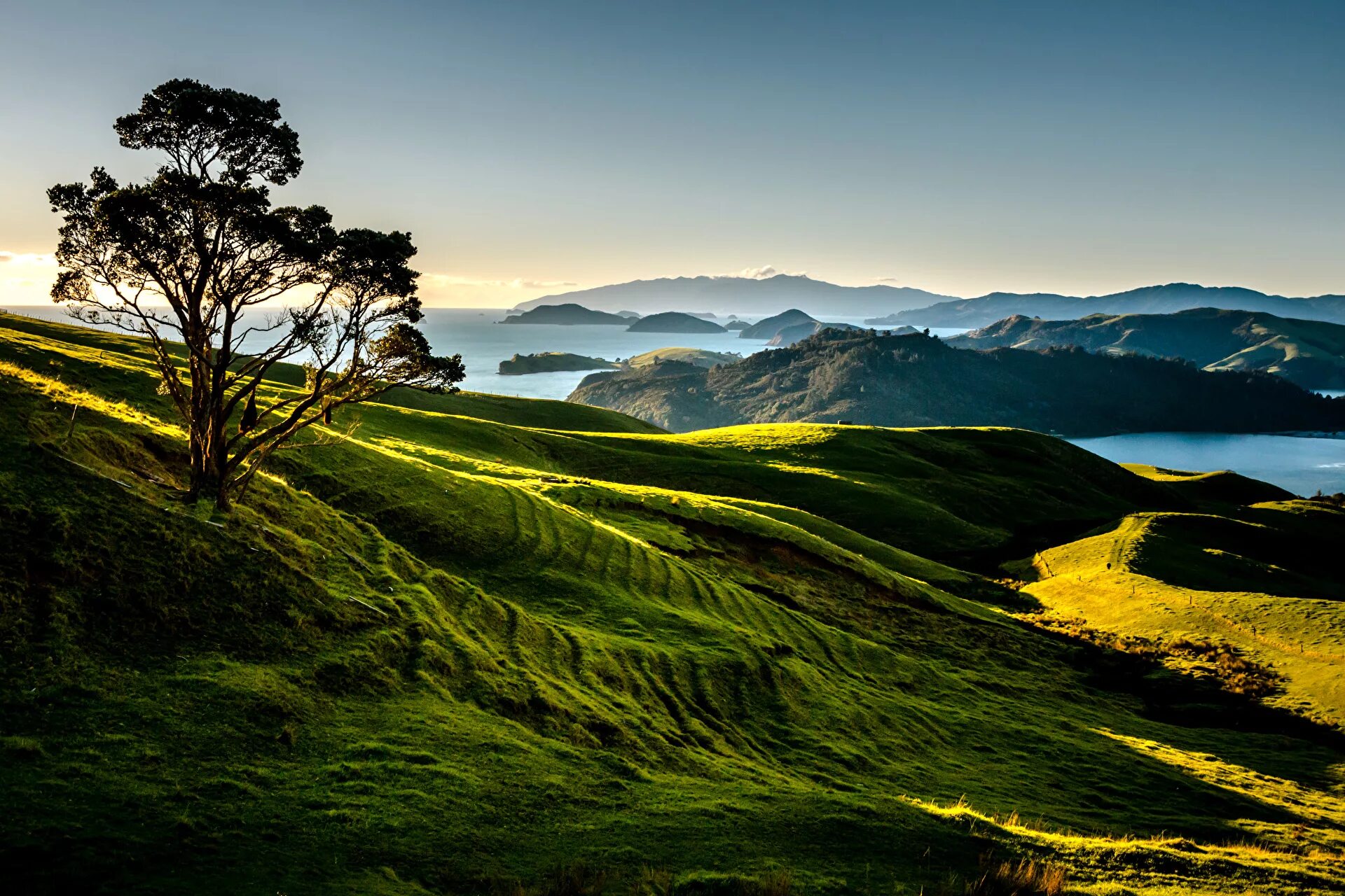 Новая Зеландия (New Zealand). Холмы Такака, новая Зеландия. Новая Зеландия ландшафт. Окленд новая Зеландия природа. Холм живая природа