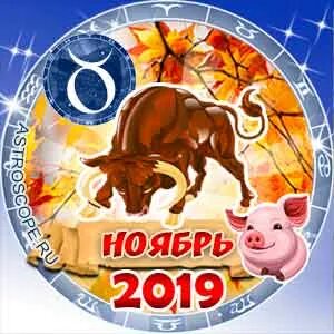 Гороскоп телец на 1 ноября 2024